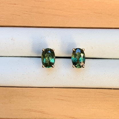 Oval Australian Parti Sapphire Earrings ~ 6x4mm Gold Studs