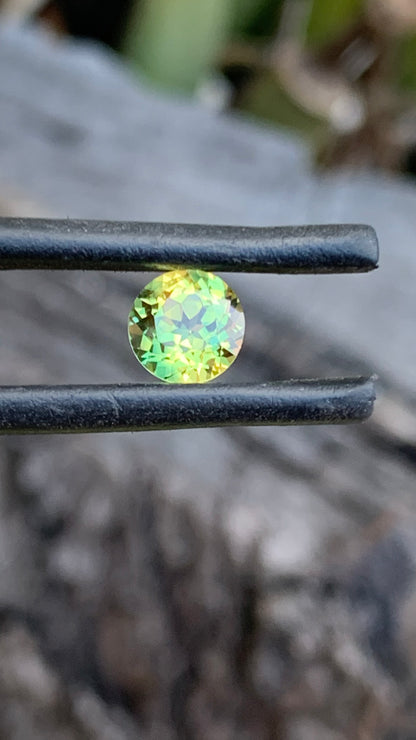 0.98ct Yellow Green Australian Parti Sapphire