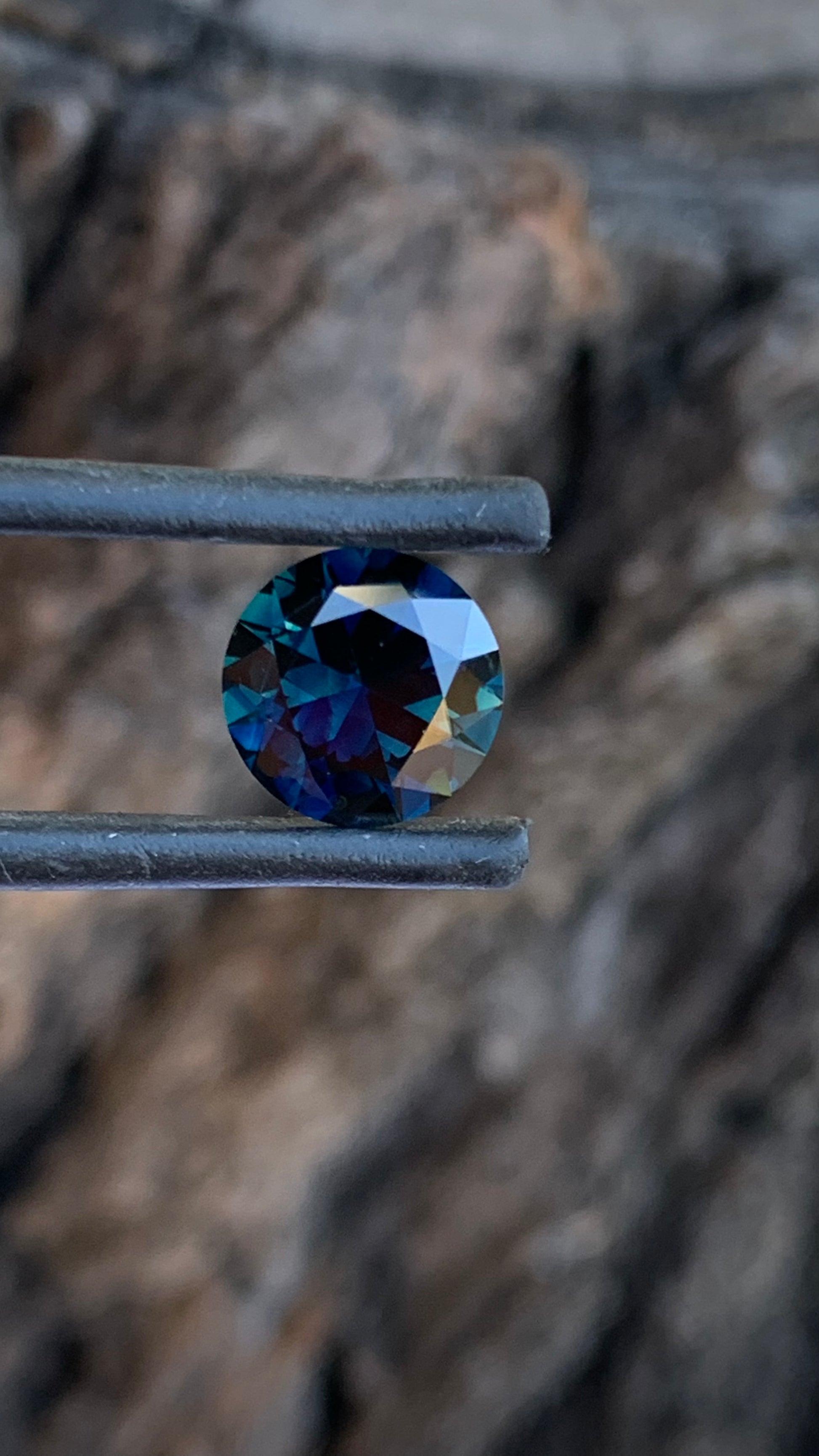 Australian parti Sapphire with blue and unique yellow zoning
