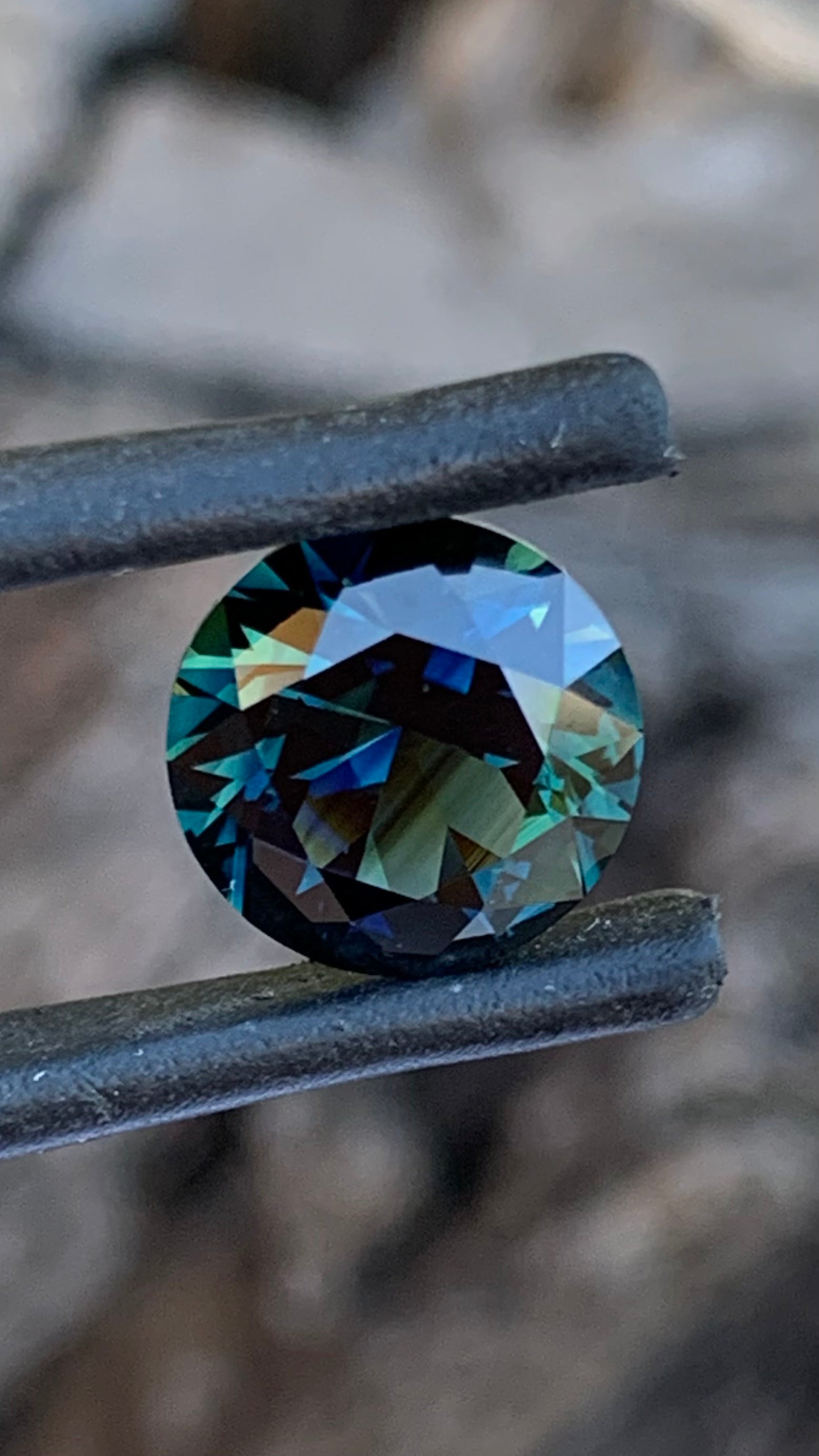 Blue and Yellow Australian Parti Sapphire