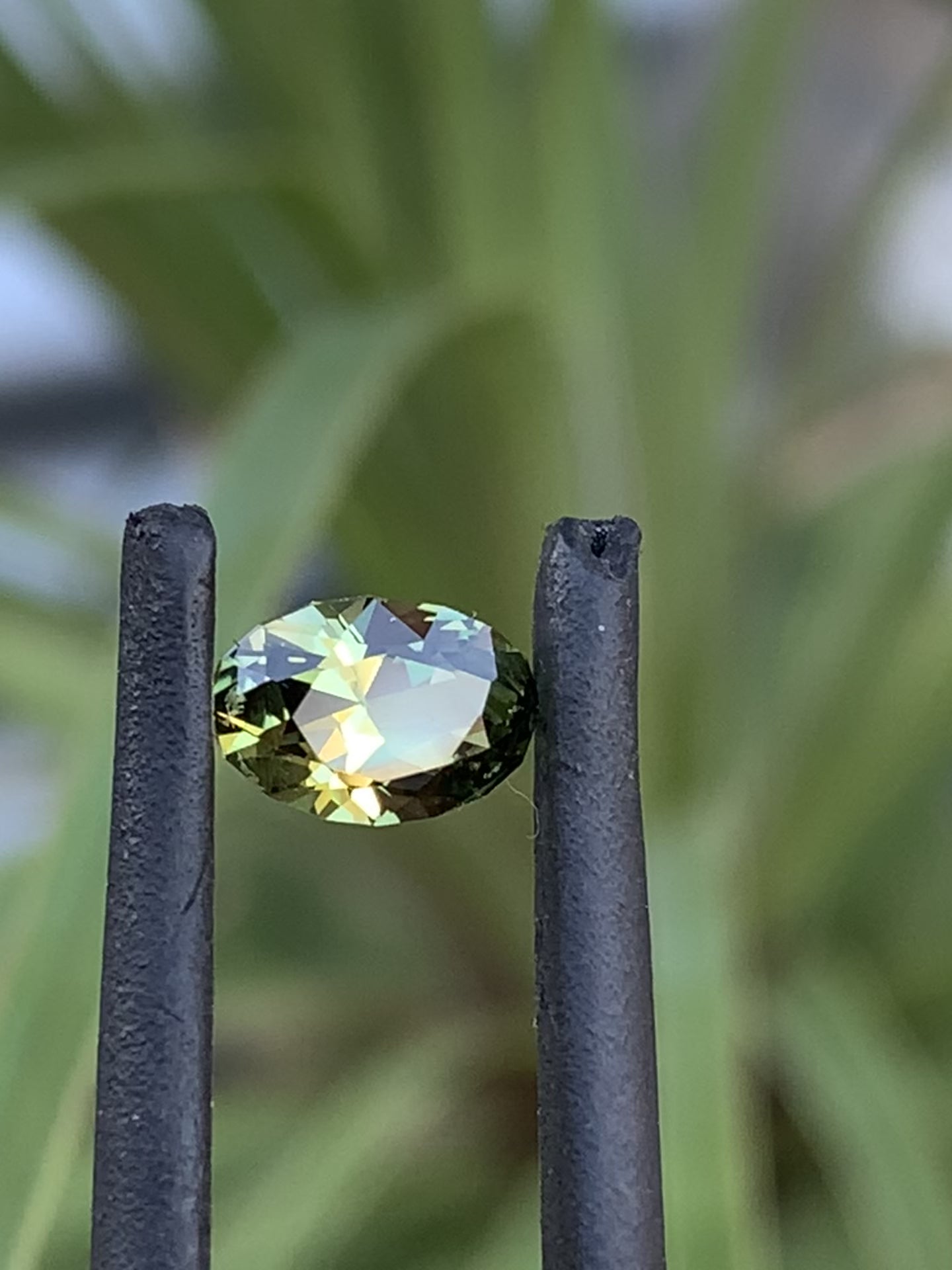 Green Australian Sapphire