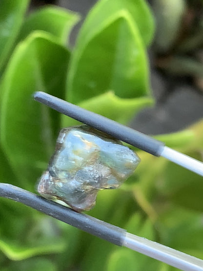 13.65ct Australian Sapphire Crystal