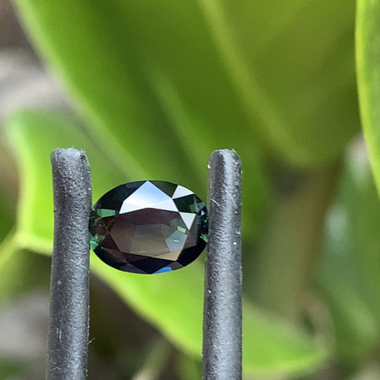 Ethical Australian Sapphires