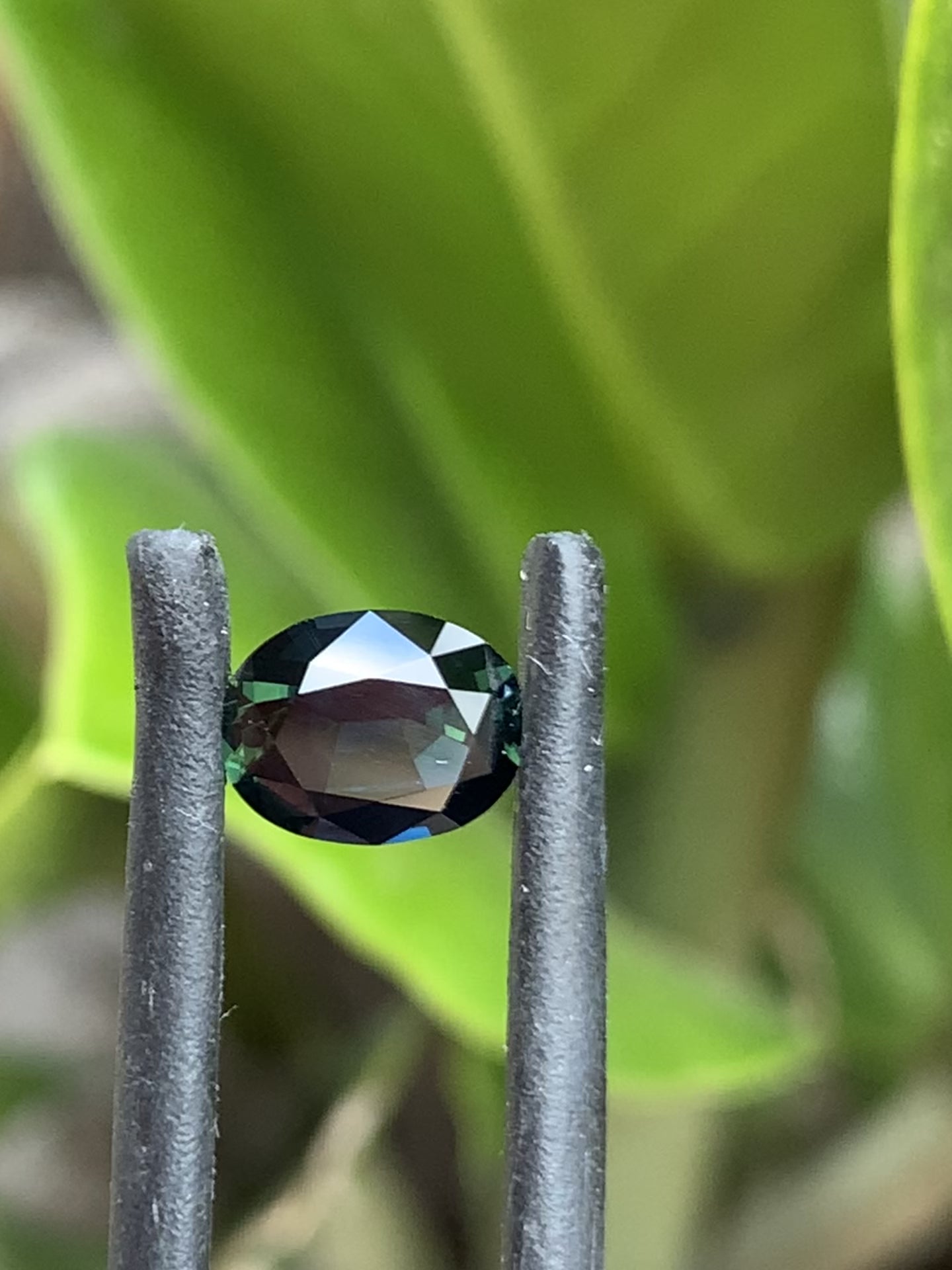 Ethical Australian Sapphires