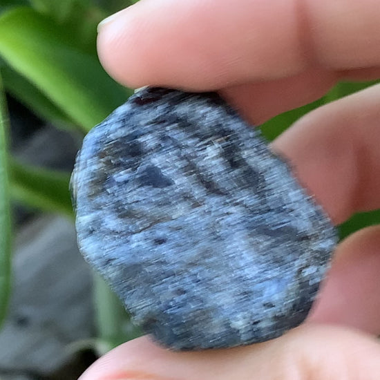 Australian Trapiche Sapphire