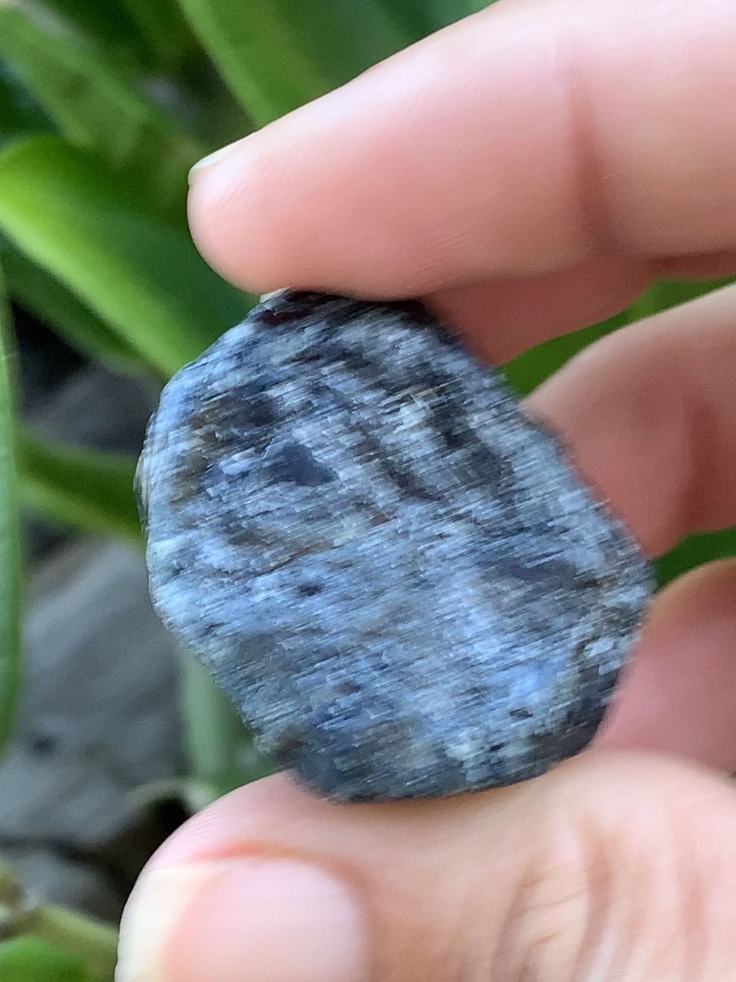 Australian Trapiche Sapphire