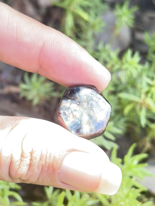 32.38ct Skin Polished Australian Trapiche Sapphire Sp