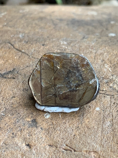 17.9ct Polished Bronze Australian Sapphire Specimen